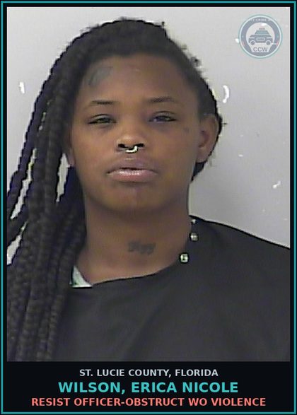 CCW arrest card for Wilson, Erica Nicole in St. Lucie County: Disorder Intox-disorder Intox Public Place Cause Disturbance