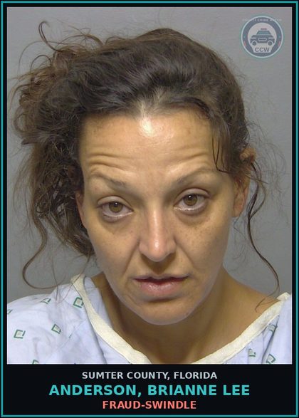 CCW arrest card for ANDERSON, BRIANNE LEE in Sumter County: DRUG EQUIP-POSSESS