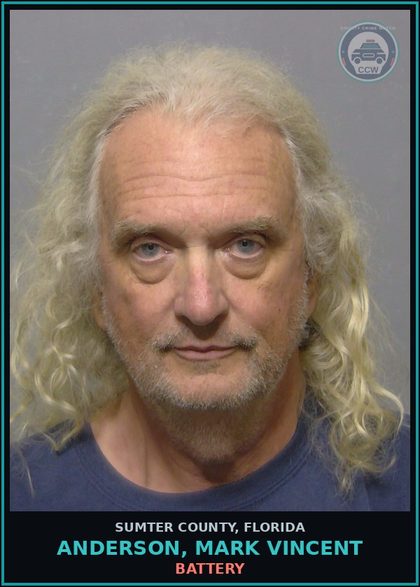 CCW arrest card for ANDERSON, MARK VINCENT in Sumter County: BATTERY