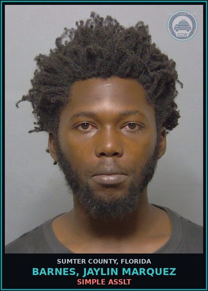 CCW arrest card for BARNES, JAYLIN MARQUEZ in Sumter County: SIMPLE ASSLT