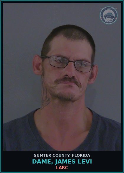 CCW arrest card for DAME, JAMES LEVI in Sumter County: LARC