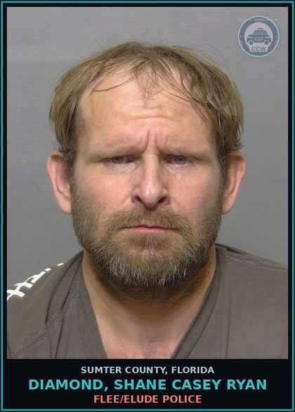 CCW arrest card for DIAMOND, SHANE CASEY RYAN in Sumter County: FLEE/ELUDE POLICE