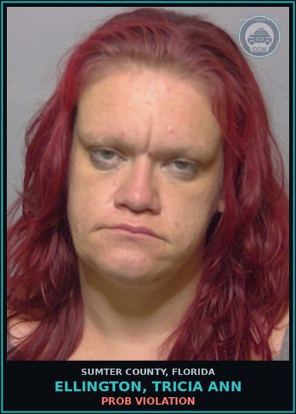 CCW arrest card for ELLINGTON, TRICIA ANN in Sumter County: PROB VIOLATION