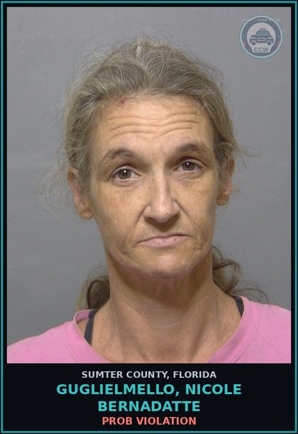 CCW arrest card for GUGLIELMELLO, NICOLE BERNADATTE in Sumter County: PROB VIOLATION