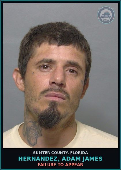 CCW arrest card for HERNANDEZ, ADAM JAMES in Sumter County: FAILURE TO APPEAR