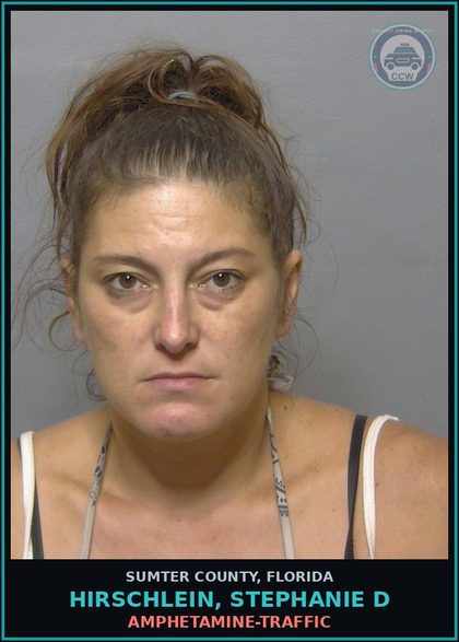 CCW arrest card for HIRSCHLEIN, STEPHANIE D in Sumter County: AMPHETAMINE-TRAFFIC