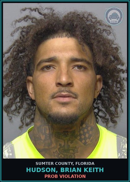 CCW arrest card for HUDSON, BRIAN KEITH in Sumter County: PROB VIOLATION