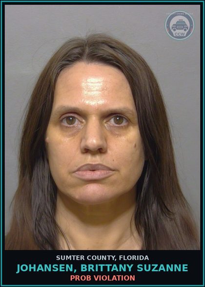 CCW arrest card for JOHANSEN, BRITTANY SUZANNE in Sumter County: PROB VIOLATION