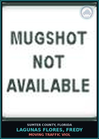 CCW arrest card for LAGUNAS FLORES, FREDY in Sumter County: MOVING TRAFFIC VIOL
