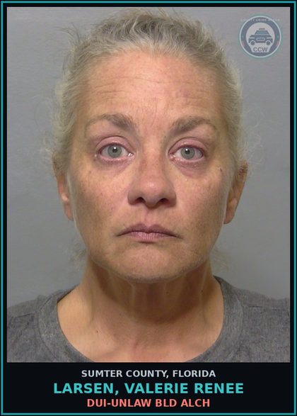 CCW arrest card for LARSEN, VALERIE RENEE in Sumter County: DUI-UNLAW BLD ALCH