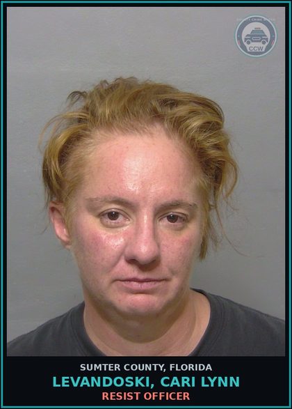 CCW arrest card for LEVANDOSKI, CARI LYNN in Sumter County: RESIST OFFICER