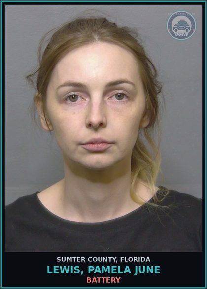 CCW arrest card for LEWIS, PAMELA JUNE in Sumter County: PROB VIOLATION