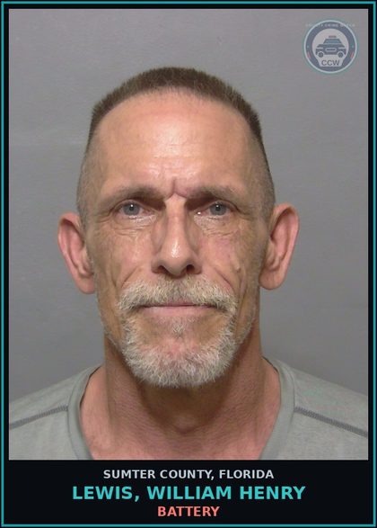 CCW arrest card for LEWIS, WILLIAM HENRY in Sumter County: STALKING