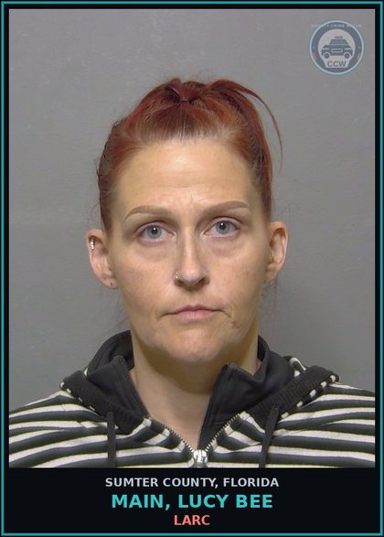 CCW arrest card for MAIN, LUCY BEE in Sumter County: LARC