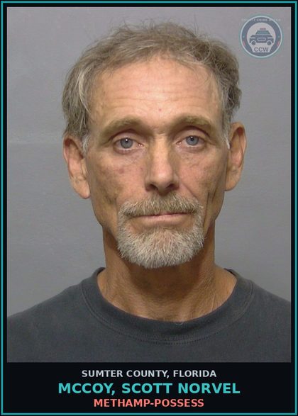 CCW arrest card for MCCOY, SCOTT NORVEL in Sumter County: Methamp-POSSESS