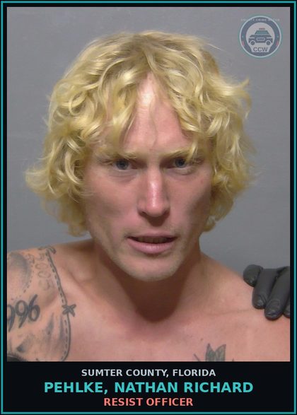 CCW arrest card for PEHLKE, NATHAN RICHARD in Sumter County: CRIMES AGAINST PERSON