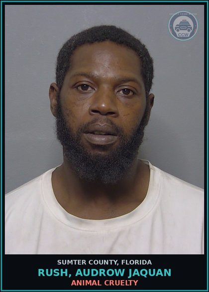 CCW arrest card for RUSH, AUDROW JAQUAN in Sumter County: ANIMAL CRUELTY