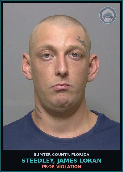 CCW arrest card for STEEDLEY, JAMES LORAN in Sumter County: PROB VIOLATION