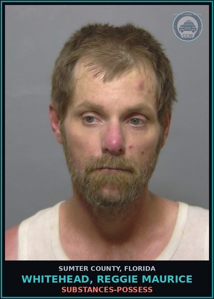 CCW arrest card for WHITEHEAD, REGGIE MAURICE in Sumter County: DRUGS-POSSESS