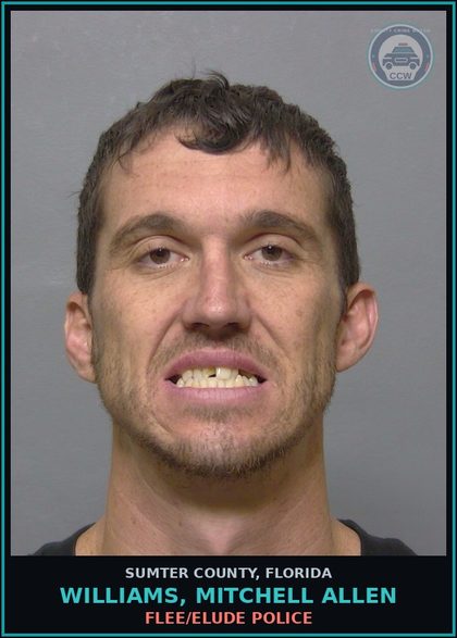 CCW arrest card for WILLIAMS, MITCHELL ALLEN in Sumter County: FLEE/ELUDE POLICE