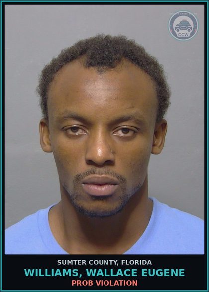 CCW arrest card for WILLIAMS, WALLACE EUGENE in Sumter County: PROB VIOLATION