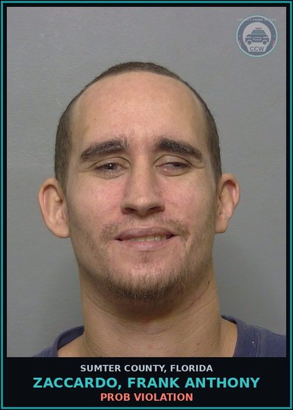 CCW arrest card for ZACCARDO, FRANK ANTHONY in Sumter County: PROB VIOLATION