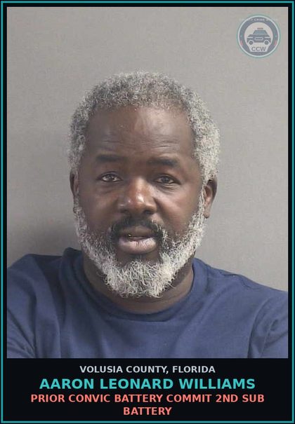 CCW arrest card for AARON LEONARD WILLIAMS in Volusia County: PRIOR CONVIC BATTERY COMMIT 2ND SUB BATTERY