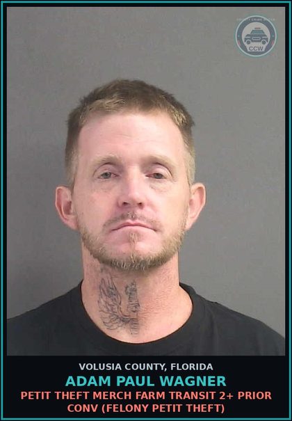 CCW arrest card for ADAM PAUL WAGNER in Volusia County: PETIT THEFT MERCH FARM TRANSIT 2+ PRIOR CONV (FELONY PETIT THEFT)