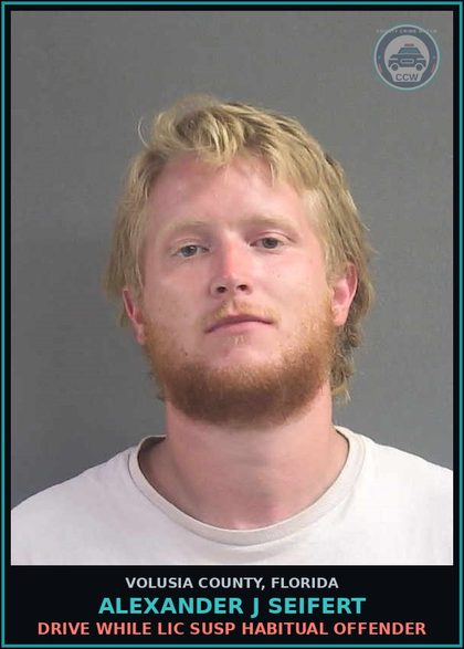 CCW arrest card for ALEXANDER J SEIFERT in Volusia County: DRIVE WHILE LIC SUSP HABITUAL OFFENDER