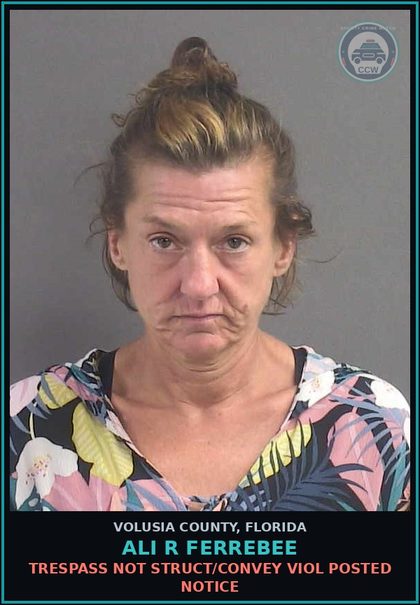 CCW arrest card for ALI R FERREBEE in Volusia County: TRESPASS NOT STRUCT/CONVEY VIOL POSTED NOTICE