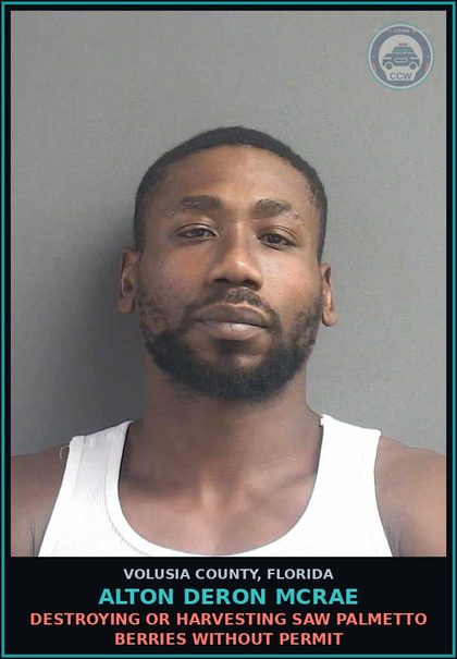 CCW arrest card for ALTON DERON MCRAE in Volusia County: DESTROYING OR HARVESTING SAW PALMETTO BERRIES WITHOUT PERMIT