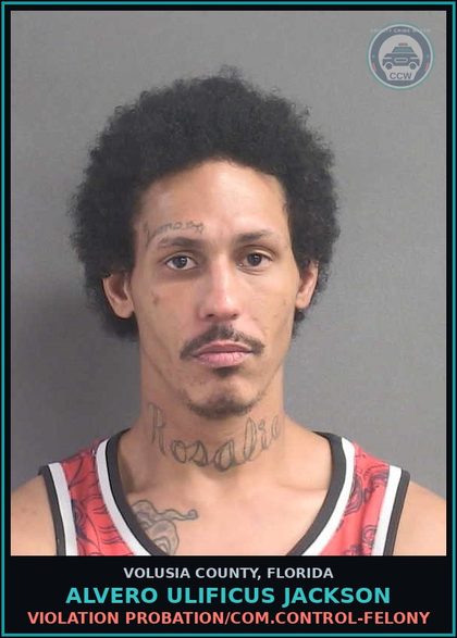 CCW arrest card for ALVERO ULIFICUS JACKSON in Volusia County: VIOLATION PROBATION/COM.CONTROL-FELONY