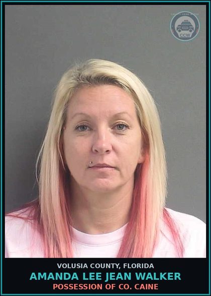CCW arrest card for AMANDA LEE JEAN WALKER in Volusia County: POSSESSION OF CO. CAINE