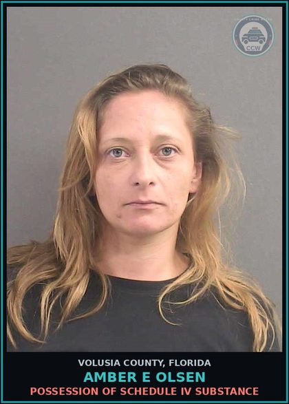 CCW arrest card for AMBER E OLSEN in Volusia County: POSSESSION OF SCHEDULE IV SUBSTANCE