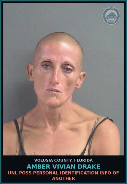 CCW arrest card for AMBER VIVIAN DRAKE in Volusia County: LARCENY (PETIT THEFT)