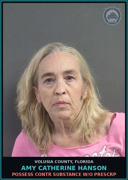 CCW arrest card for AMY CATHERINE HANSON in Volusia County: POSSESS CONTR SUBSTANCE W/O PRESCRP