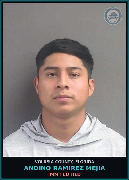 CCW arrest card for ANDINO RAMIREZ MEJIA in Volusia County: IMM FED HLD