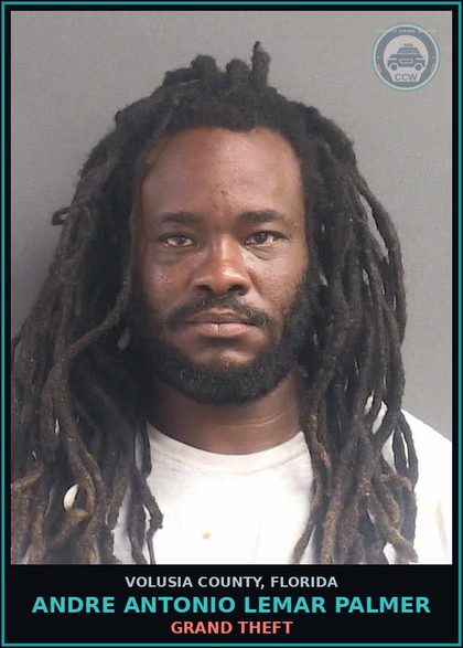 CCW arrest card for ANDRE ANTONIO LEMAR PALMER in Volusia County: GRAND THEFT