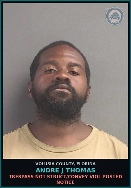 CCW arrest card for ANDRE J THOMAS in Volusia County: TRESPASS NOT STRUCT/CONVEY VIOL POSTED NOTICE