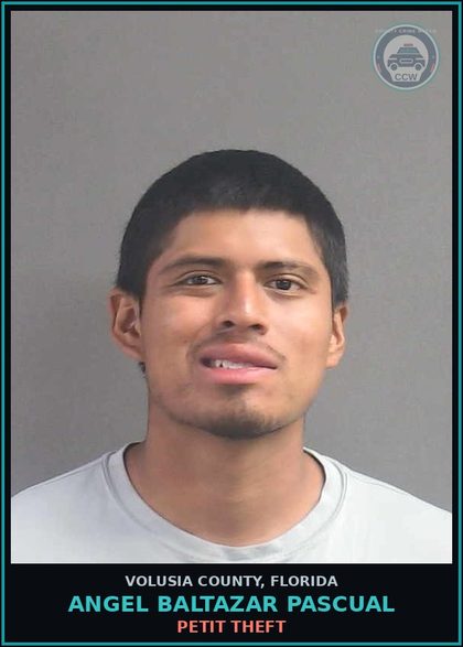 CCW arrest card for ANGEL BALTAZAR PASCUAL in Volusia County: PETIT THEFT