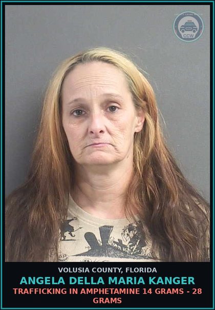 CCW arrest card for ANGELA DELLA MARIA KANGER in Volusia County: DESTROYING OR HARVESTING SAW PALMETTO BERRIES WITHOUT PERMIT