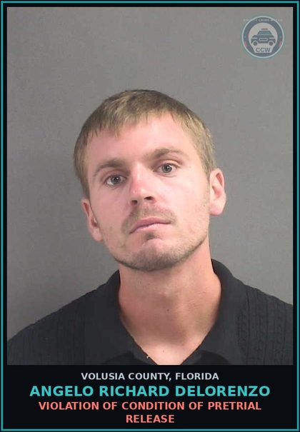 CCW arrest card for ANGELO RICHARD DELORENZO in Volusia County: VIOLATION OF CONDITION OF PRETRIAL RELEASE
