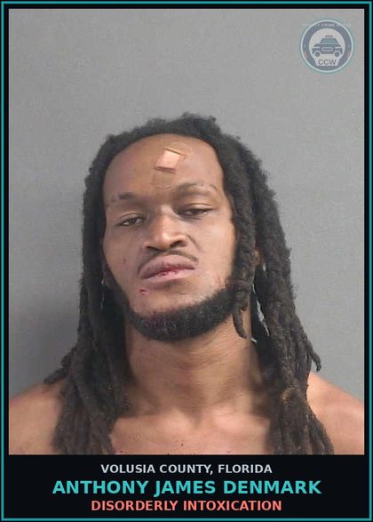 CCW arrest card for ANTHONY JAMES DENMARK in Volusia County: DISORDERLY INTOXICATION