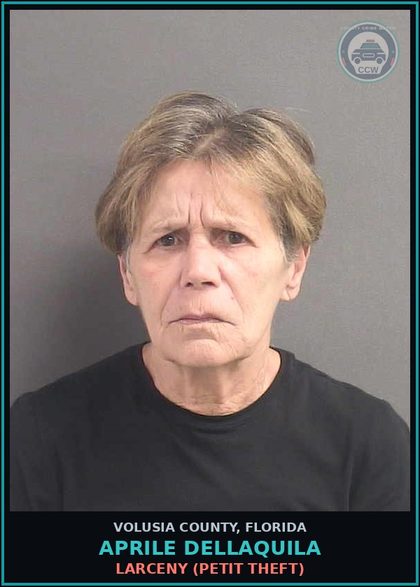 CCW arrest card for APRILE DELLAQUILA in Volusia County: LARCENY (PETIT THEFT)