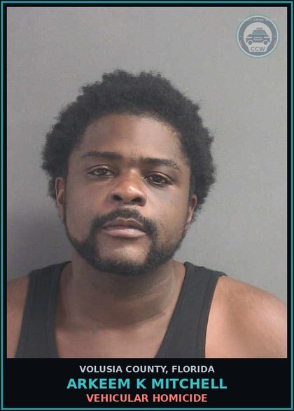 CCW arrest card for ARKEEM K MITCHELL in Volusia County: VEHICULAR HOMICIDE
