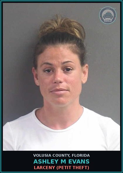 CCW arrest card for ASHLEY M EVANS in Volusia County: LARCENY (PETIT THEFT)