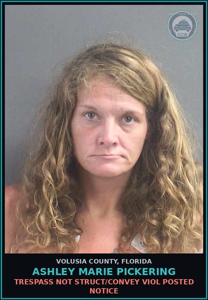 CCW arrest card for ASHLEY MARIE PICKERING in Volusia County: TRESPASS NOT STRUCT/CONVEY VIOL POSTED NOTICE