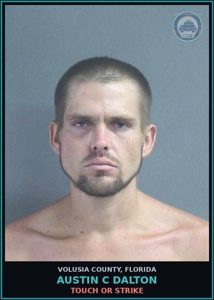 CCW arrest card for AUSTIN C DALTON in Volusia County: TOUCH OR STRIKE