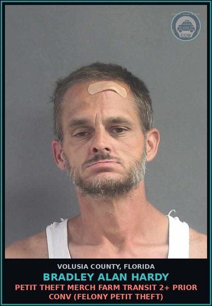 CCW arrest card for BRADLEY ALAN HARDY in Volusia County: PETIT THEFT MERCH FARM TRANSIT 2+ PRIOR CONV (FELONY PETIT THEFT)
