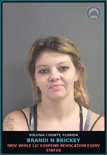 CCW arrest card for BRANDI N BRICKEY in Volusia County: DRIV WHILE LIC SUSPEND REVOCATION EQUIV STATUS